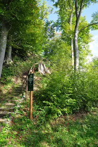 Greifenberg castle ruin