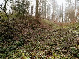 Untere Heidenburg