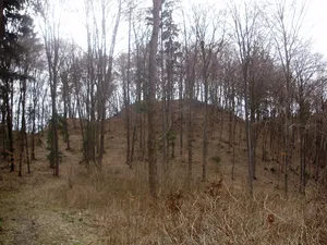 Stagnov