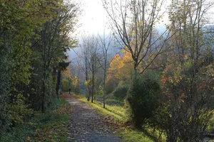 Inschutznahme des sog. Brandl, Ortsteil Degerndorf/Inn, Gemeinde Brannenburg