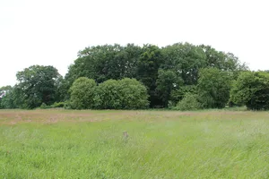 Burgplatz Mansingen mit Umgebung
