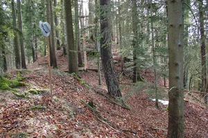 Burg Wildentierberg