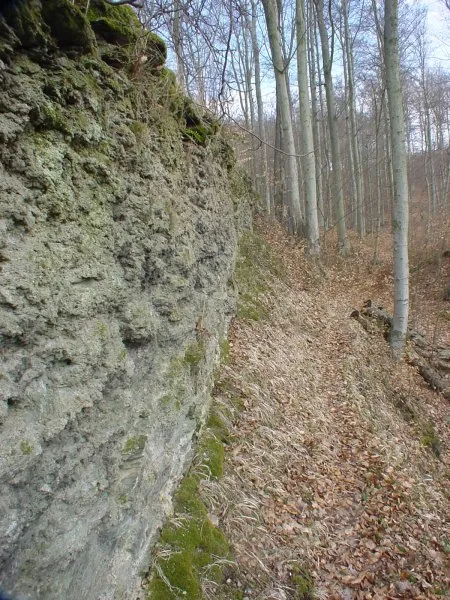 Alt-Morungen public domain „eigenes Foto von 2004“ (Aus Diskussion übertragen von Leipnizkeks)