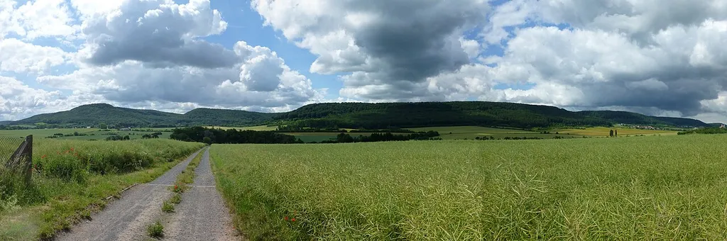 Panorama der Hainleite bei Hainrode