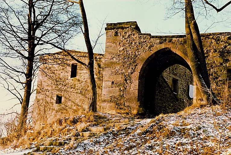 Eingang zur Burg Hauneck selbst fotografiert (in 1980)