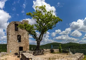 Neideck Castle