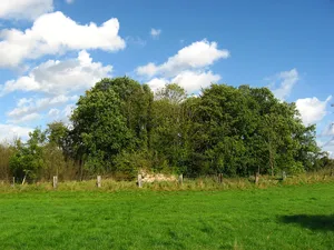 Rauschenburg