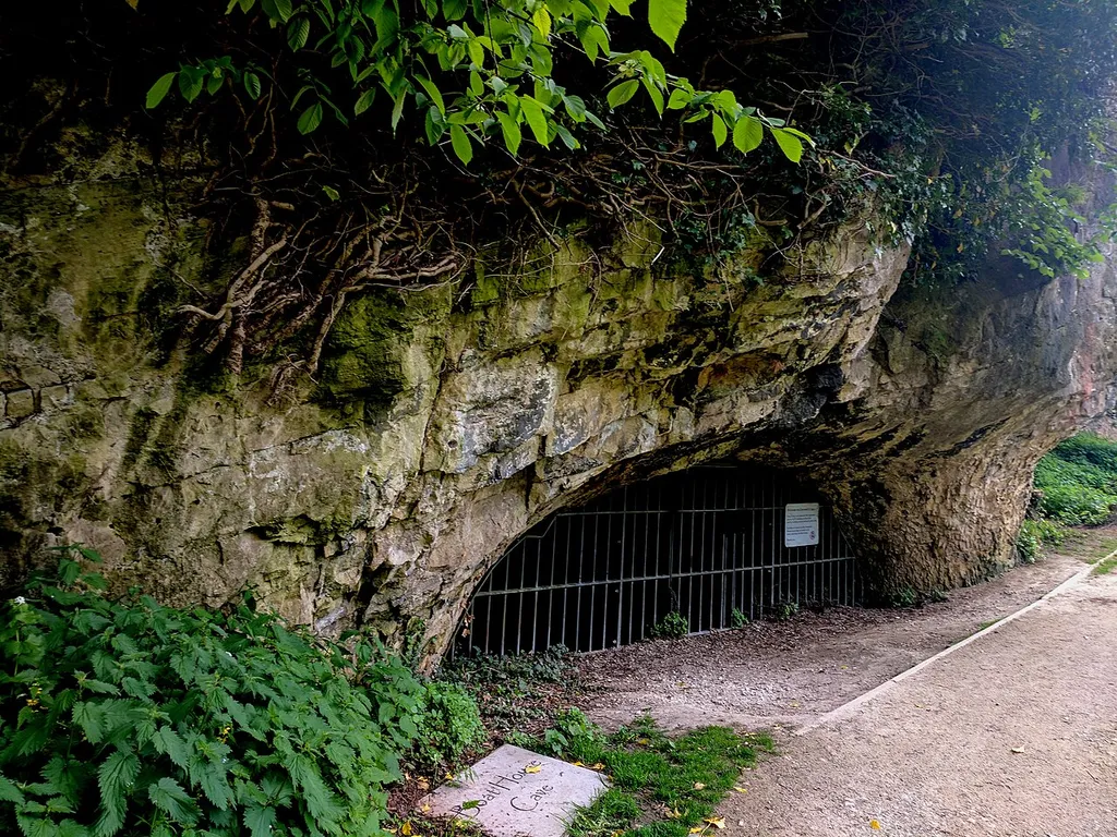 Boat House Cave, Creswell Crags, Palaeolithic and later prehistoric sites at Creswell Gorge, including Boat House Cave and Church Hole Cave .mw-parser-output .messagebox{margin:4px 0;width:auto;border-collapse:collapse;border:2px solid var(--border-color-progressive,#6485d1);background-color:var(--background-color-neutral-subtle,#fbfcff);color:var(--color-base,#202122);box-sizing:border-box;border-inline-start-width:8px}.mw-parser-output .messagebox.mbox-small{font-size:88%;line-height:1.25em}.mw-parser-output .mbox-warning,.mw-parser-output .mbox-speedy{border:2px solid var(--border-color-error,#b22222);background:var(--background-color-error-subtle,#ffdbdb);border-inline-start-width:8px}.mw-parser-output .mbox-serious,.mw-parser-output .mbox-delete,.mw-parser-output .mbox-stop{border:2px solid var(--border-color-error,#b22222);border-inline-start-width:8px}.mw-parser-output .mbox-issue,.mw-parser-output .mbox-content{border:2px solid #f28500;background:var(--background-color-warning-subtle,#ffe);border-inline-start-width:8px}.mw-parser-output .mbox-query,.mw-parser-output .mbox-style{border:2px solid #f4c430;background:var(--background-color-warning-subtle,#ffe);border-inline-start-width:8px}.mw-parser-output .mbox-shit{border:2px solid #960;border-inline-start-width:8px}.mw-parser-output .mbox-license{border:2px solid #88a;border-inline-start-width:initial}.mw-parser-output .mbox-legal{border:2px solid var(--border-color-notice,#666);background:var(--background-color-base,#fff);border-inline-start-width:8px}.mw-parser-output .mbox-honor{border:2px solid #ca3;background:var(--background-color-warning-subtle,#fcf4db);border-inline-start-width:8px}.mw-parser-output .mbox-growth{border:2px solid #8d4;background:var(--background-color-success-subtle,#d5fdf4);border-inline-start-width:8px}.mw-parser-output .mbox-move{border:2px solid #93c;border-inline-start-width:8px}.mw-parser-output .mbox-protection,.mw-parser-output .mbox-message{border:2px solid var(--border-color