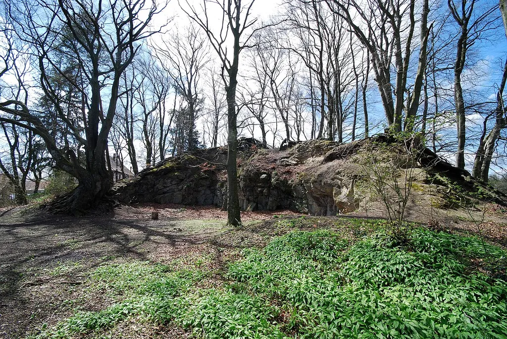 Burg Rosenegg.