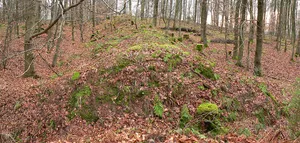 Hünenburg Hemeln