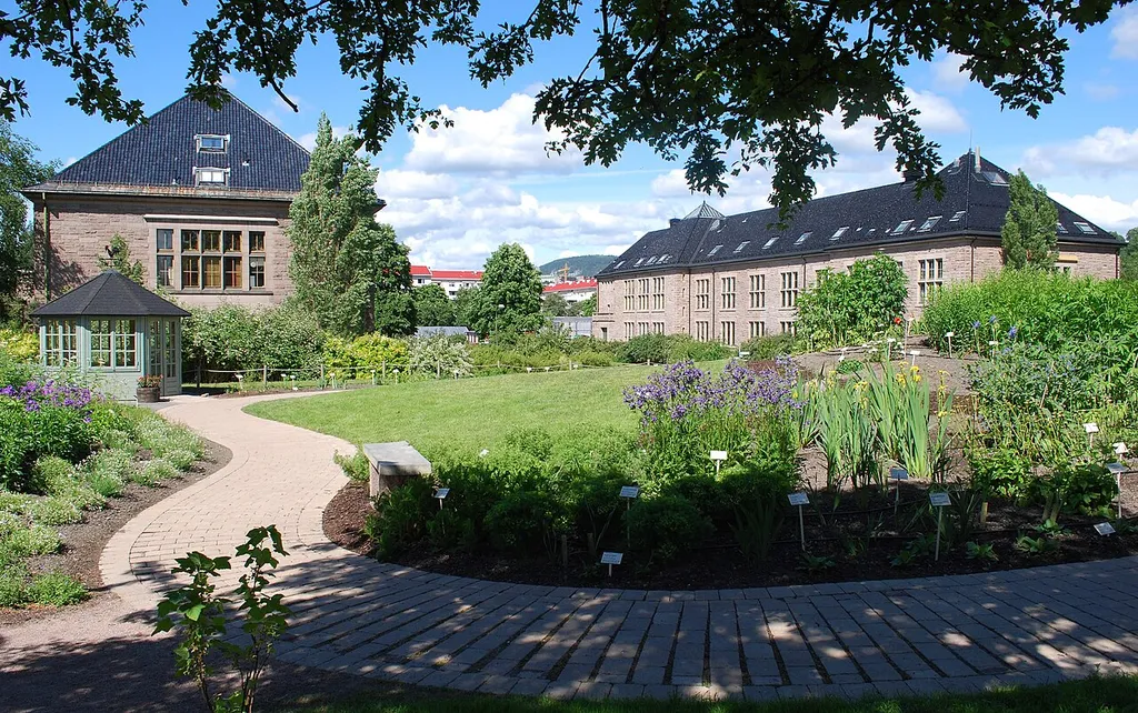 Oldemors have i Botanisk hage, Oslo, åpnet i 2008, særlig beregnet for demente