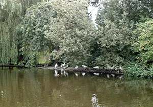 Southchurch Hall moated site