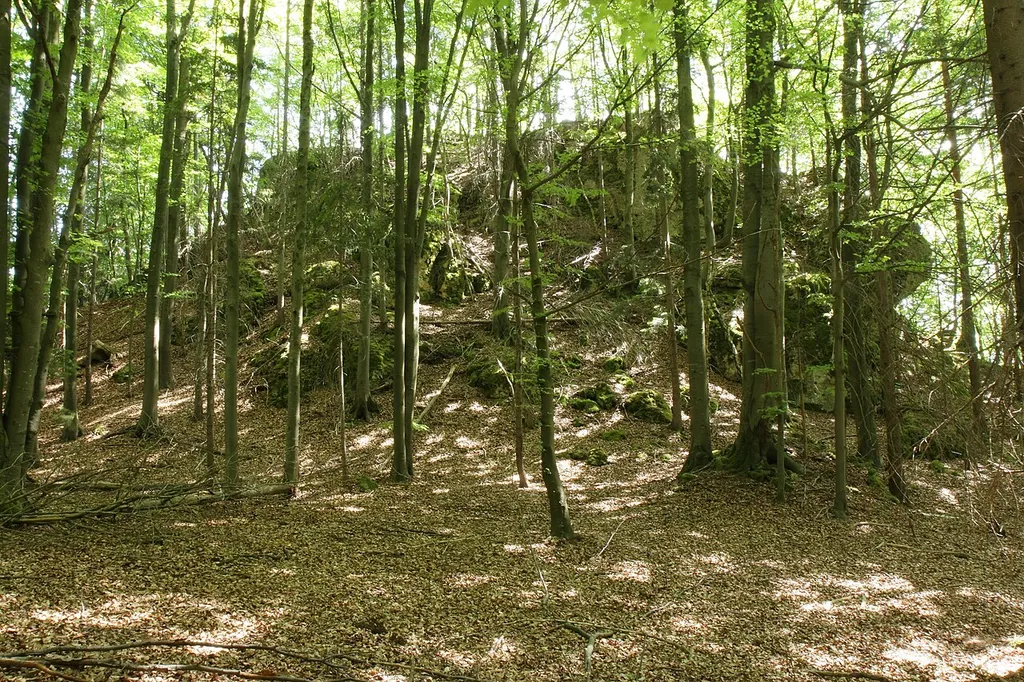 Burgstall im Eibental - Ansicht des Felskopfes auf dem die Burg stand