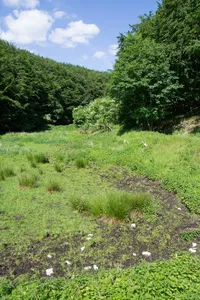 Östlicher Teutoburger Wald