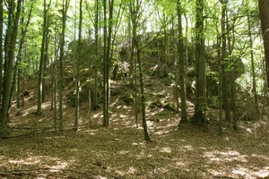 Burgstall im Eibental