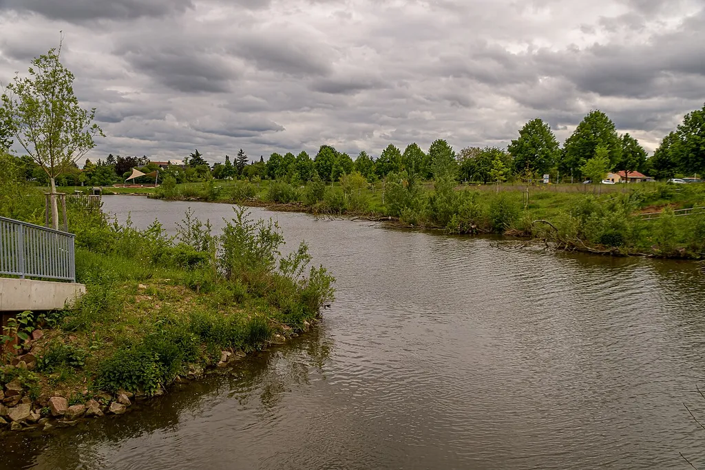 "Fischkinderstube" im LSG Unterer Neckar - Zwischen Heidelberg und Ladenburg (LSG:BW-2.26.023)_Unterer Neckar: Zwischen Heidelberg und Ladenburg