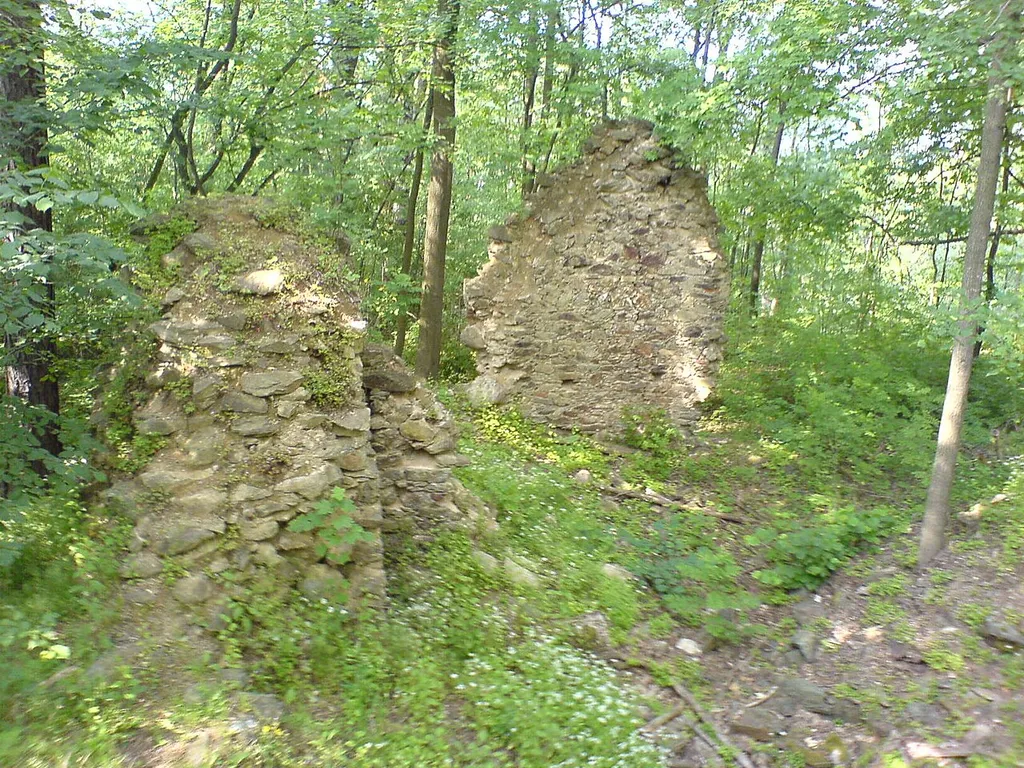 Photo of ruined castle Pušperk in Czech Republic