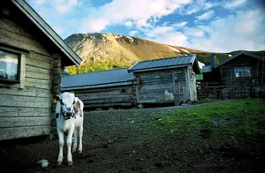 Sonfjället National Park