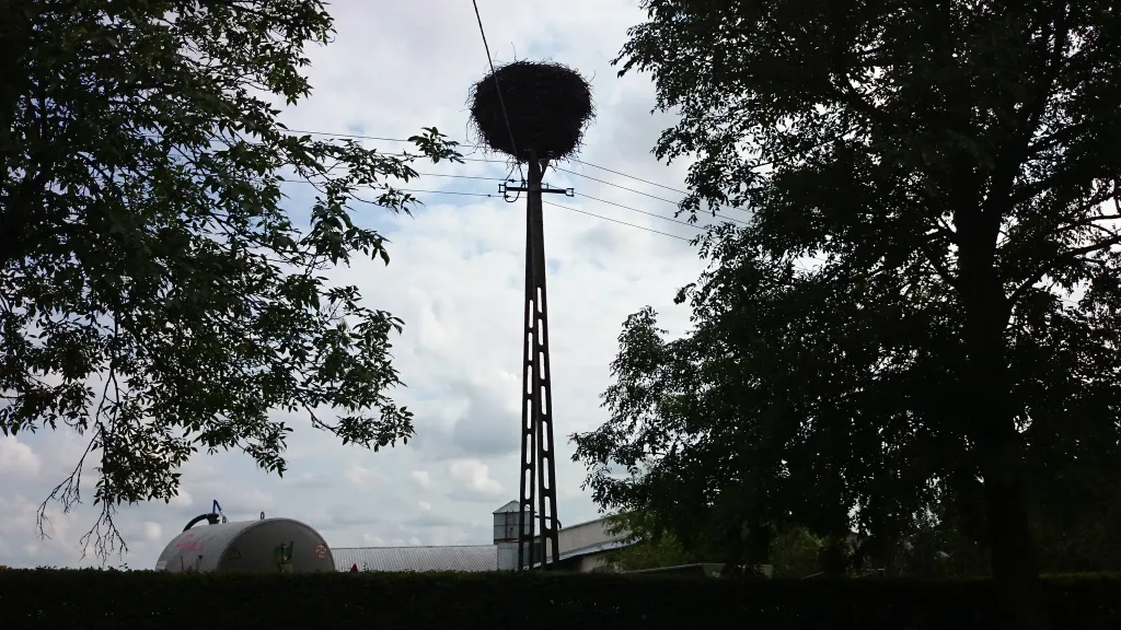 Samin, Warmian-Masurian Voivodeship