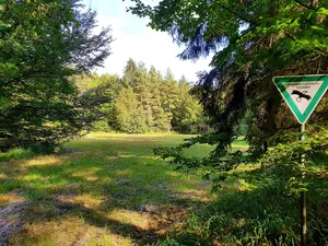 Klosterwiese bei Neuhaus