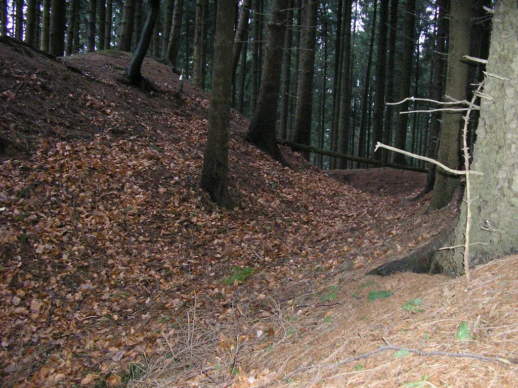 Falk Oberdorf Burggraben auf dem Meesekopf