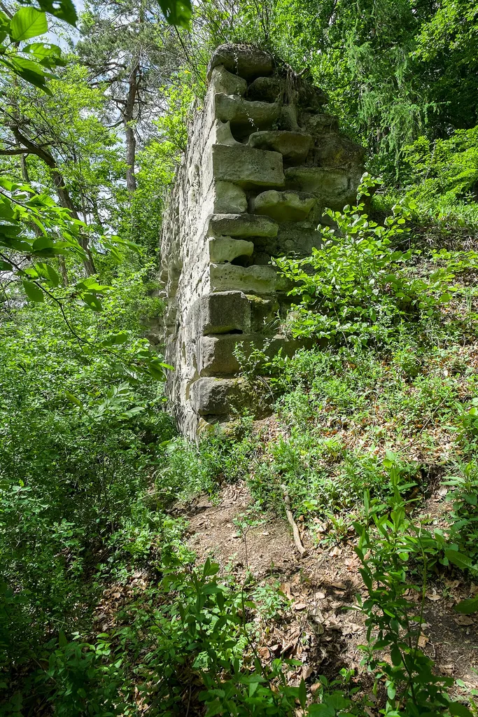 Castle ruin Hüneberg, Sipplingen, county Bodenseekreis, Baden Wurttemberg, Germany