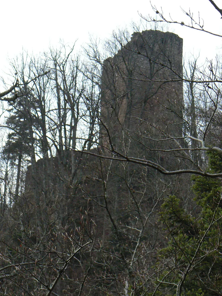 Ruines du Nideck vues de la cascade (Bas Rhin-France)