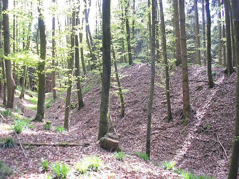 Hochmittelalterlicher Burgstall Hattenberg bei Ried (Markt Dinkelscherben, Landkreis Augsburg, Bayerisch-Schwaben). Der Wall der Vorburg nach Süden. Eigene Aufnahme, Mai 2008 / High Middle Ages Hattenberg castle near Ried (Dinkelscherben, Landkreis Augsburg, Bavaria, Germany). The earthworks of the bailey, looking south. Own photo, May 2008