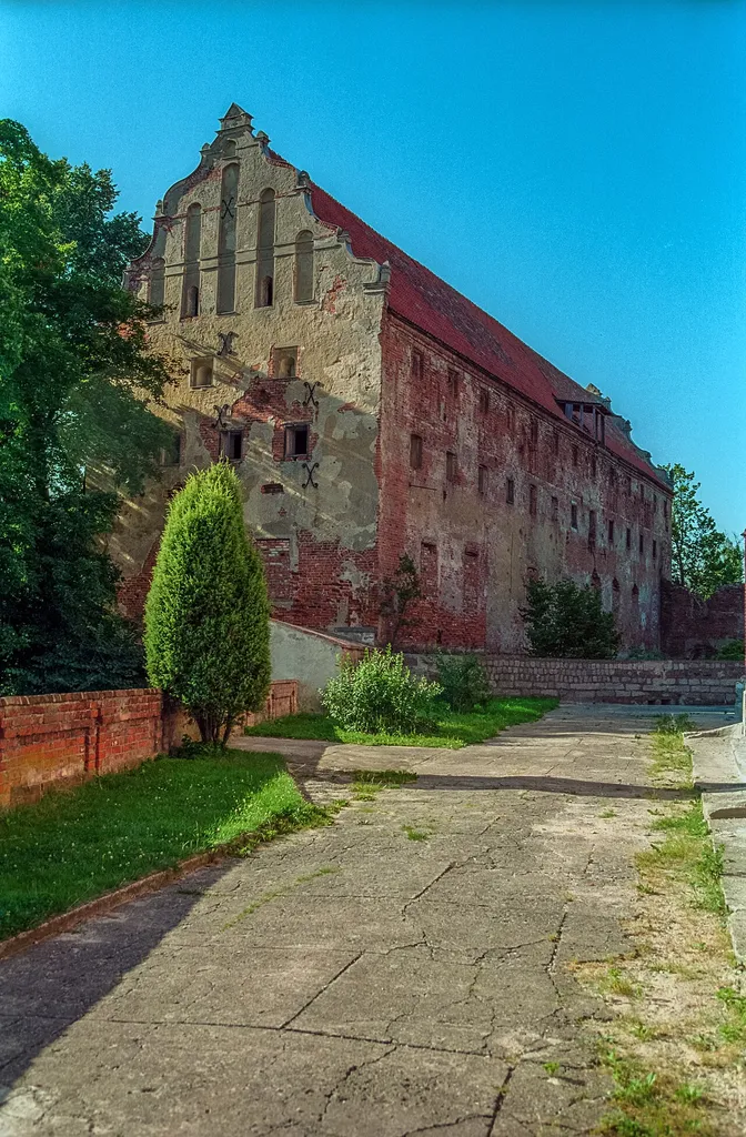 Pieniężno, pozostałości zamku