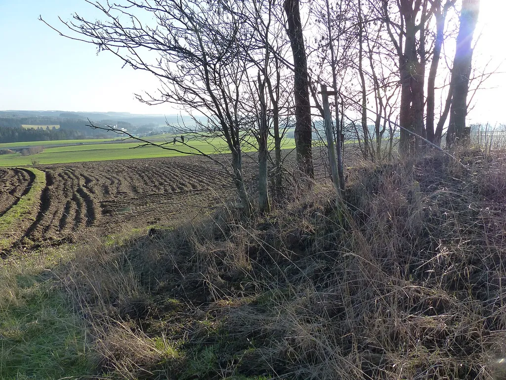 Ansicht des Burgstalls Rodesgrün
