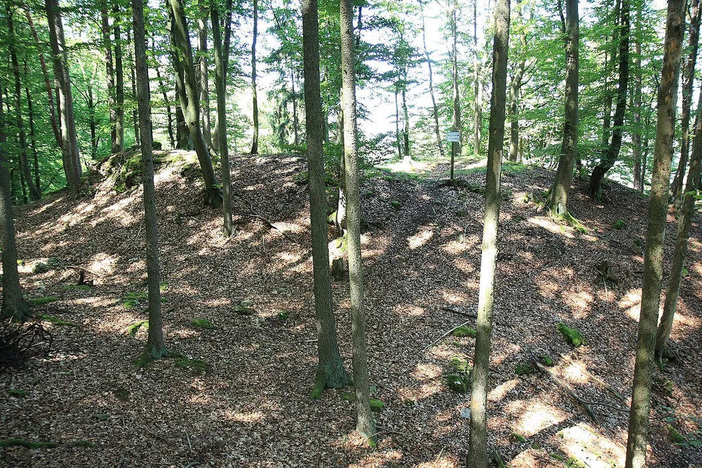 Ansicht des Burgstalls Hubertusfelsen aus südlicher Richtung