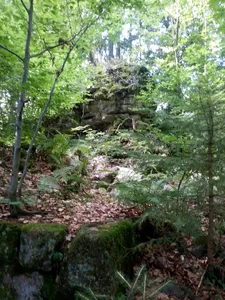 Ruine Turmhölzle