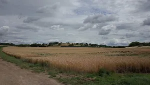 Porphyrkuppen Burgstetten bei Niemberg