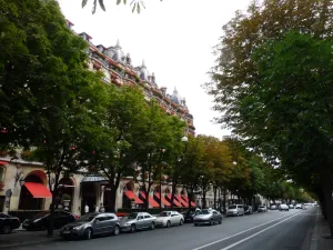avenue Montaigne
