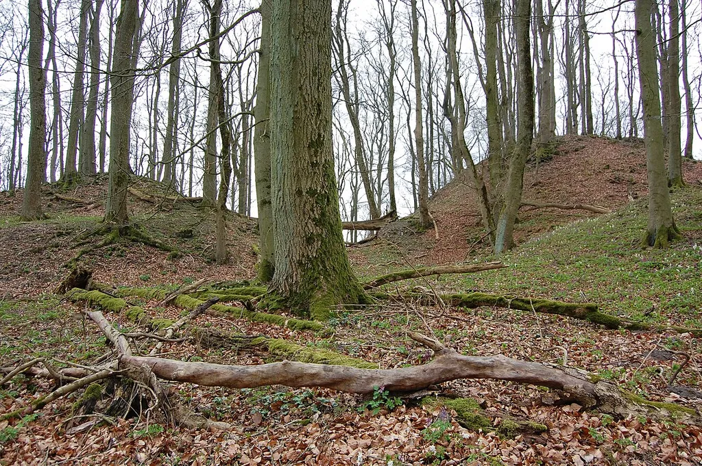 Blick auf die beiden durch den Halsgraben getrennten Plateaus der Doppelburg von Westen, vom niedrigeren, vom Außenwall eingeschlossenen Plateau der "Vorburg" aus. Das etwas niedrigere nordöstliche Plateau links im Bild