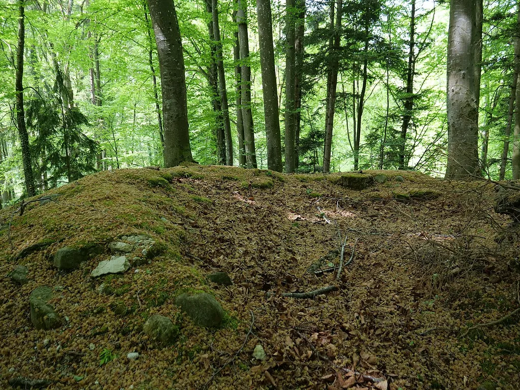 Mauerreste auf der Burgstelle Wunneberg.