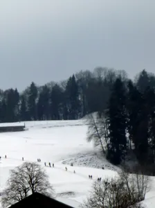 Medieval castle site Eppenberg