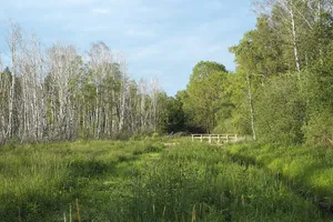 Pfrunger-Burgweiler Ried