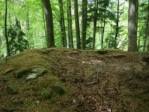 Burg Wunnenberg