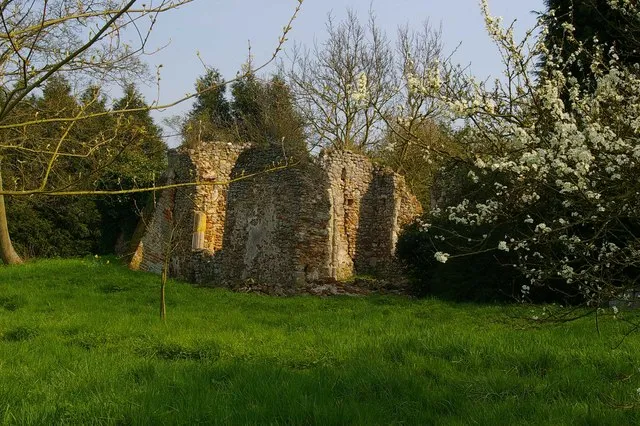These are the remains of Virley, Church, the structure was unsafe by 1879 it finally succumbed to the Great Colchester Earthquake of 1884 for more info see http://website.lineone.net/~tolin/Pictures/SalcottVilrleyRuins.htm its near neighbour also called St Mary's still survives.