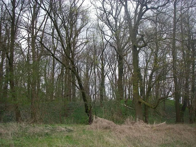 Burgwall Wildberg