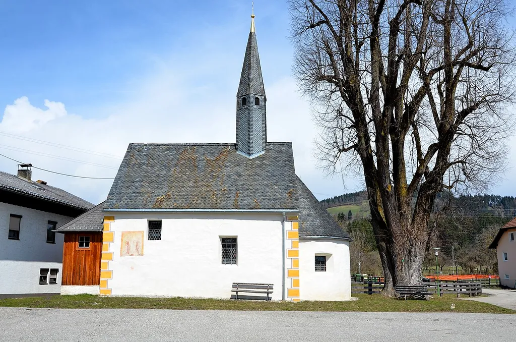 This media shows the natural monument in Carinthia with the ID Fe 19.