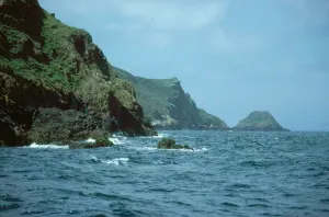 Skomer Island