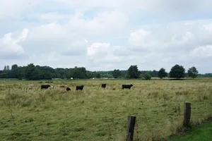 Huntetal (Landkreis Oldenburg)