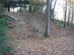 Burgstall Haunswies