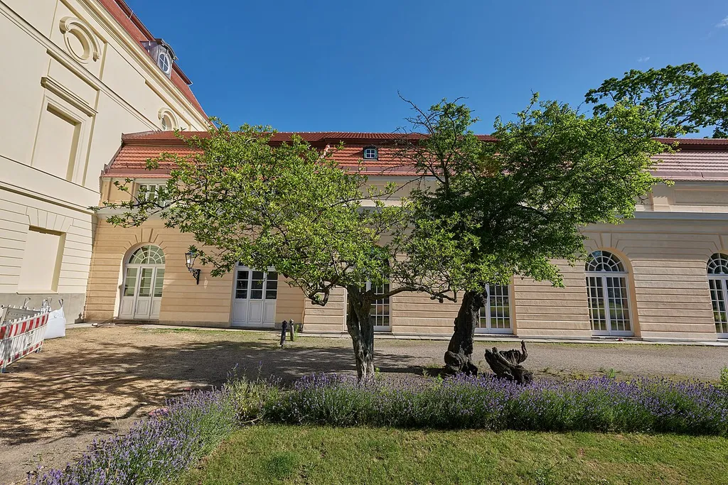 Echte Mispel Park Schloss Charlottenburg, am Westflügel des Schlosses