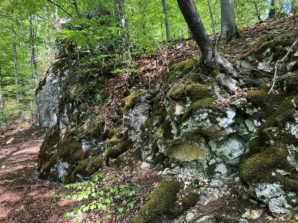 Ruins of Rauhaus Castle near Christgarten, Bavaria, Germany