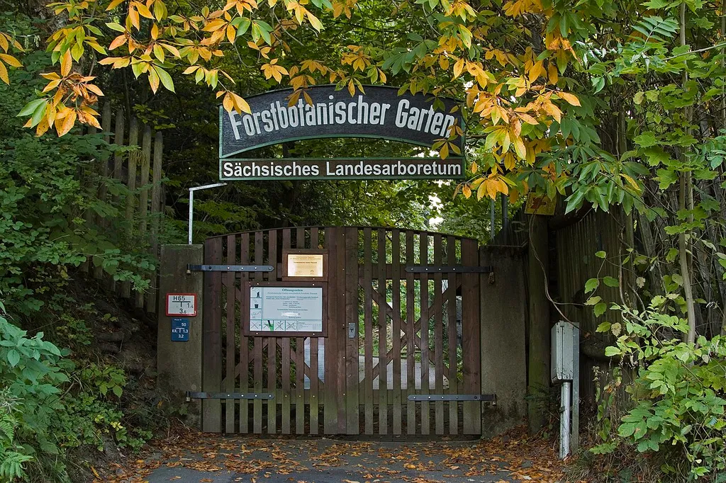 Forstbotanischer Garten Tharandt