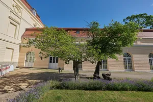 Echte Mispel Park Schloss Charlottenburg, am Westflügel des Schlosses