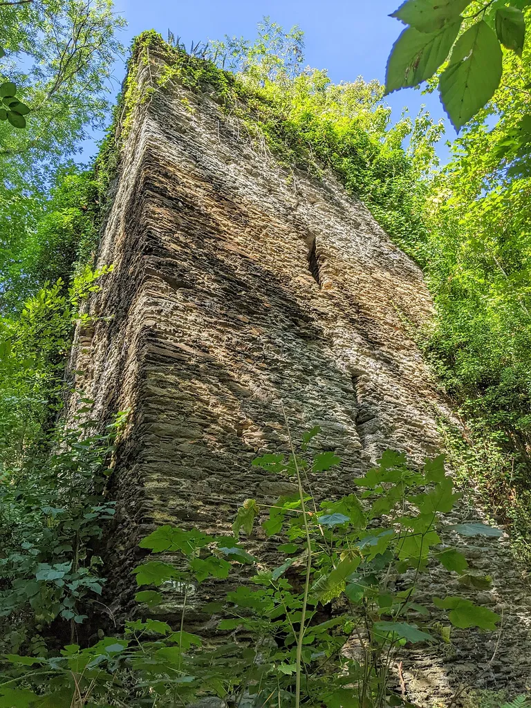 Nassau: Torturm, Steinsche Burg